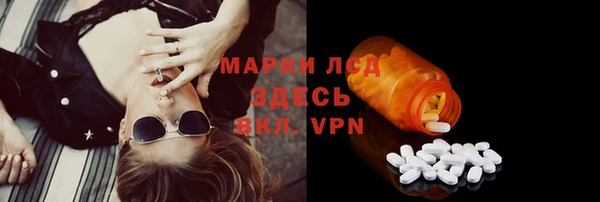PSILOCYBIN Белоозёрский