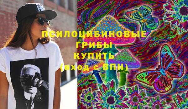 PSILOCYBIN Белоозёрский