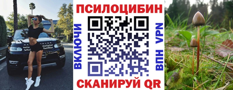 Псилоцибиновые грибы мицелий  Верхний Уфалей 